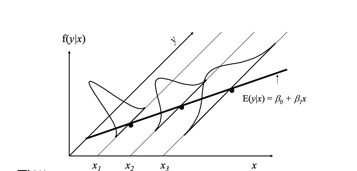 Population Model