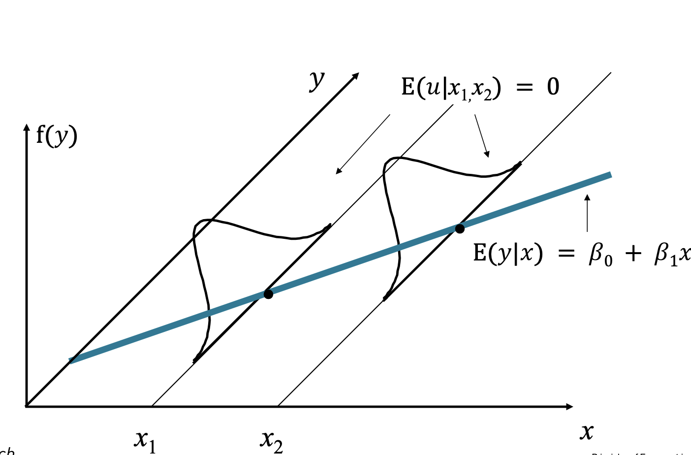 Population Model